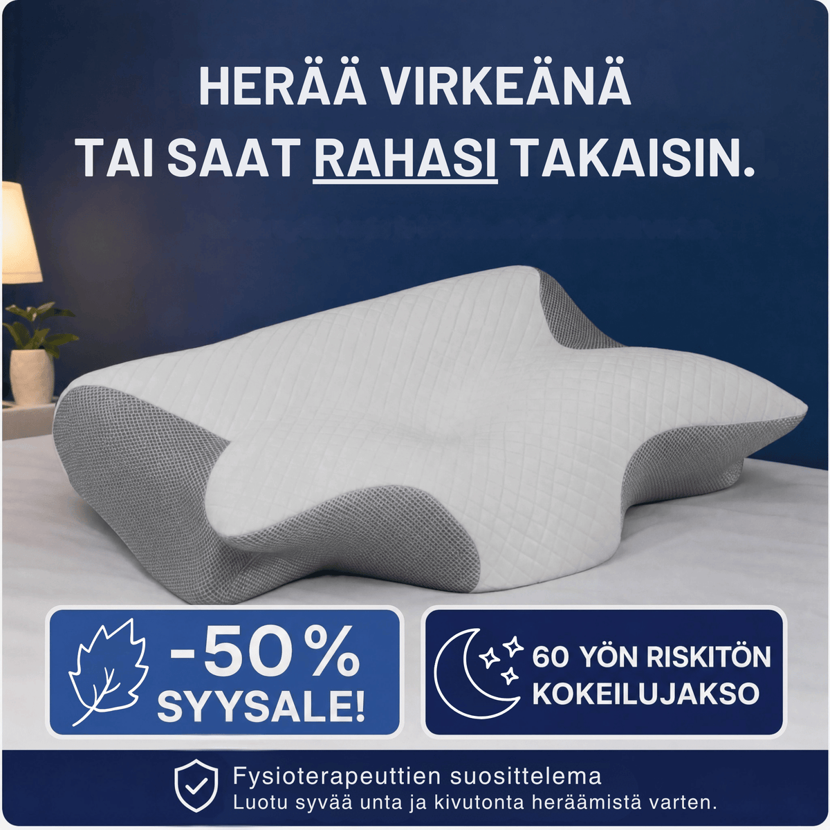 Saelun niskatyyny